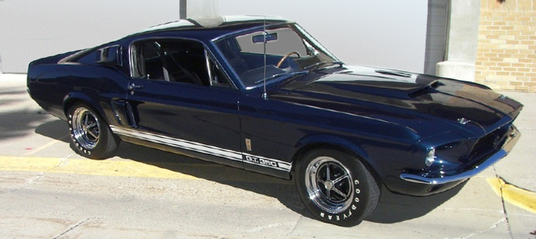 Shelby GT350 67